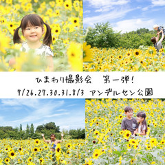 7/26〜8/3ひまわり撮影会【船橋アンデルセン公園】
