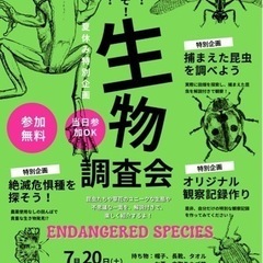生き物調査