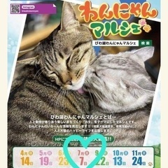 びわ湖わんにゃんマルシェ