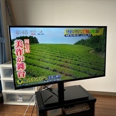 家電 テレビ 液晶テレビ