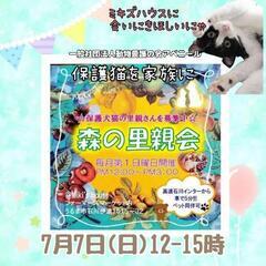 7月7日森の里親会