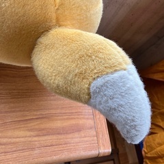 受渡者予定済どんぎつね