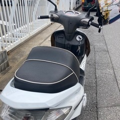 ヤマハ　シグナスの画像