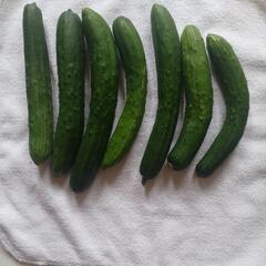 食品