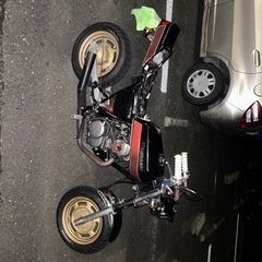 エイプ50 fi FX仕様の画像