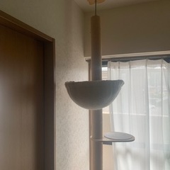キャットタワーの画像