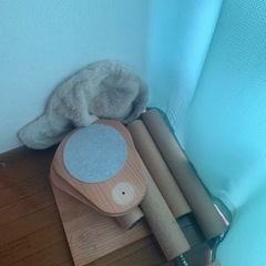 キャットタワーの画像