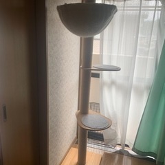 キャットタワーの画像