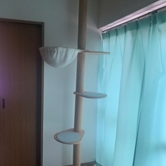 キャットタワー