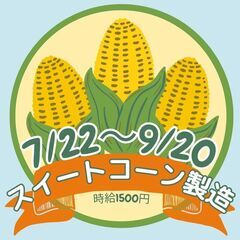 【9/20までの勤務】高時給1500円／スイートコーン缶の製造に...