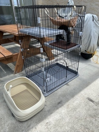 猫ちゃん二階建てゲージハンモック付きトイレ