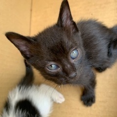 あと、4匹います　😭