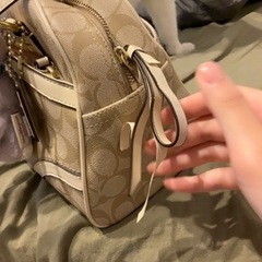 コーチ　チャールズアンドキース　バッグの画像