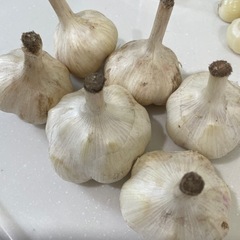 食品