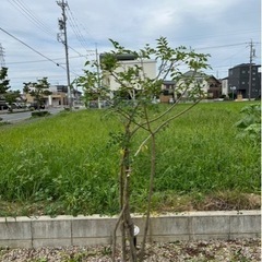 管理物件の共用部清掃、雑務の画像