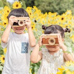 【アンデルセン公園】 季節の お花の撮影会　～ひまわり迷路～