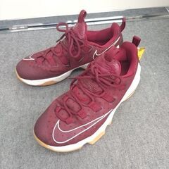 ★ジモティー割引有★ NIKE LEBRON 13 LOW EP 27cm レブロン・ジェームズモデルスニーカー 中古品