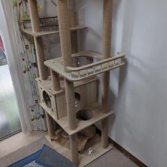 決まりました、猫タワー宇宙船の画像