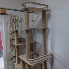 決まりました、猫タワー宇宙船の画像