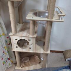 決まりました、猫タワー宇宙船の画像