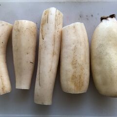 期間限定、訳ありハウス蓮根