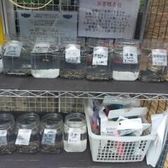 東大阪メダカ無人販売所の縁