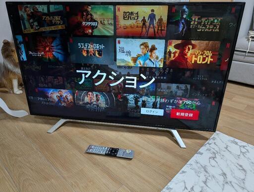 訳あり格安2016年東芝REGZA４９型液晶カラーテレビ・YouTube・Netflix他
