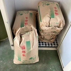 福井県の玄米の中古が安い!激安で譲ります・無料であげます 福井県の玄米の中古が安い!激安で譲ります・無料であげます