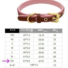 大型犬ワンちゃん首輪/ブラウン2XL（新品）の画像