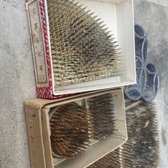 剣山　ケンザン　セット大小8個の画像