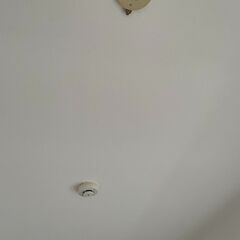 IKEA SUNNEBY スンネビ / LUNNOM ルッノム ペンダントランプ 電球付き, ブラック 球形/スモーク x ３つ　の画像