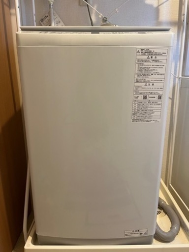 家電 生活家電 洗濯機