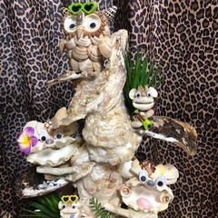 貝殻シーサーの画像