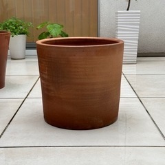 イタリア製テラコッタ　植木鉢（5）