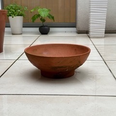 お話中　
イタリア製テラコッタ　植木鉢（2）