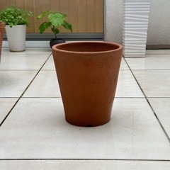 イタリア製テラコッタ　植木鉢（4）