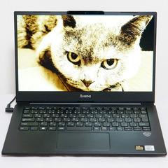 【訳あり】iiyama ノートパソコン STYLE-14FH05...
