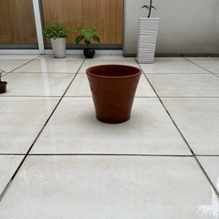 イタリア製　テラコッタ　植木鉢（16）