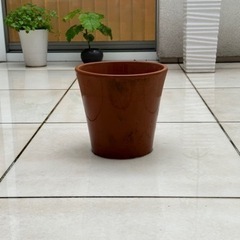 イタリア製　テラコッタ　植木鉢（15）