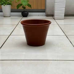イタリア製　テラコッタ　植木鉢（13）