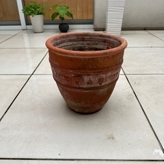 イタリア製　テラコッタ　植木鉢（17）