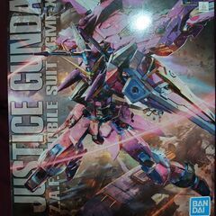 MG ジャスティスガンダム