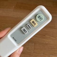 天井ライド　(明日まで)
の画像