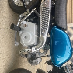 
モンキーの画像