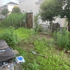 庭の手入れ