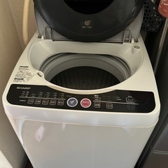 家電 生活家電 洗濯機
