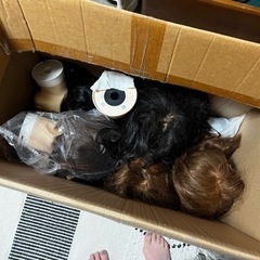 ウィッグ(美容師用)