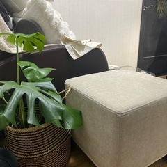 椅子　スツールボックスの画像