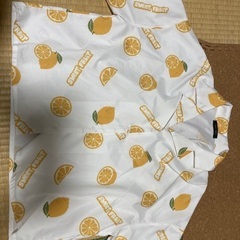 ショート丈 シャツ