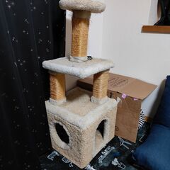 キャットタワー お譲りします